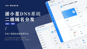 派小星DNS系统V2.0完整包-亿码酷站